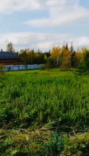 ДП Родной в Североуральске - severouralsk.yutvil.ru