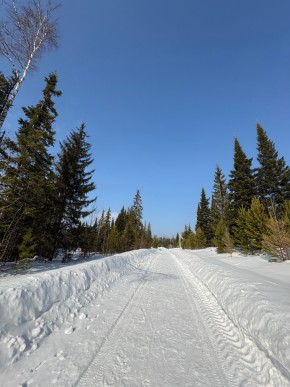 ДП Родной в Североуральске - severouralsk.yutvil.ru - фото 7