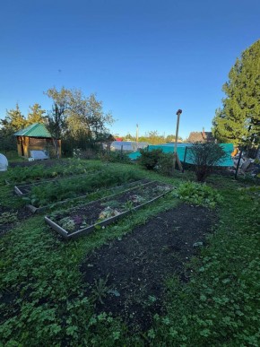 Екатеренбург сад Торгмаш, СНТ  Садовод, уч. 52 в Североуральске - severouralsk.yutvil.ru - фото 16