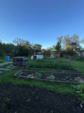 Екатеренбург сад Торгмаш, СНТ  Садовод, уч. 52 в Североуральске - severouralsk.yutvil.ru - фото 19