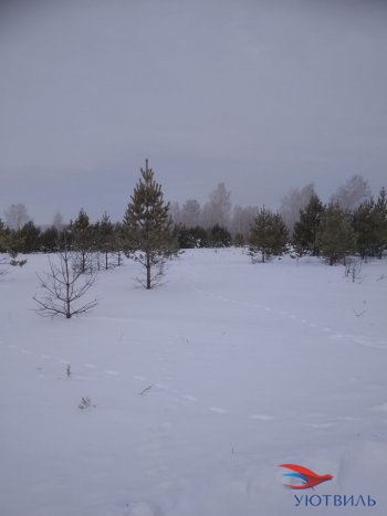 Земельный участок поселок Баженово в Североуральске - severouralsk.yutvil.ru - фото 5