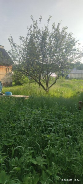 г Верхняя пышма, СНТ Мираж, уч.№ 99 в Североуральске - severouralsk.yutvil.ru - фото 19