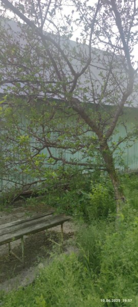 г Верхняя пышма, СНТ Мираж, уч.№ 99 в Североуральске - severouralsk.yutvil.ru - фото 26