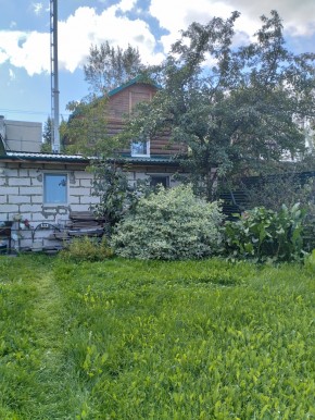 Коллективный сад номер 7, участок 58 в Североуральске - severouralsk.yutvil.ru - фото 21 Коллективный сад номер 7, участок 58 в Североуральске - severouralsk.yutvil.ru - фото 21