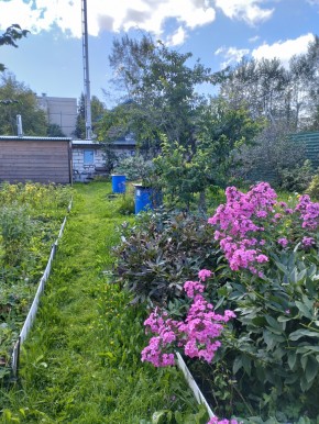 Коллективный сад номер 7, участок 58 в Североуральске - severouralsk.yutvil.ru - фото 23 Коллективный сад номер 7, участок 58 в Североуральске - severouralsk.yutvil.ru - фото 23