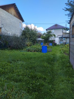 Коллективный сад номер 7, участок 58 в Североуральске - severouralsk.yutvil.ru - фото 26 Коллективный сад номер 7, участок 58 в Североуральске - severouralsk.yutvil.ru - фото 26