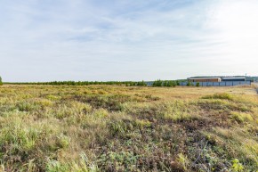 Российская Федерация, Свердловская область, Сысертский городской округ, территория садоводческого некоммерческого товарищества Бобровские дачи, улица Каштановая, земельный участок № 38 в Североуральске - severouralsk.yutvil.ru - фото 24