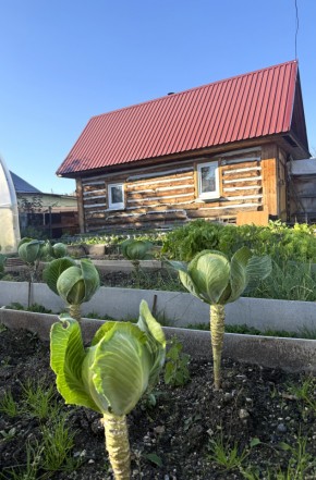 СНТ Дорожник, 97 в Североуральске - severouralsk.yutvil.ru - фото 19