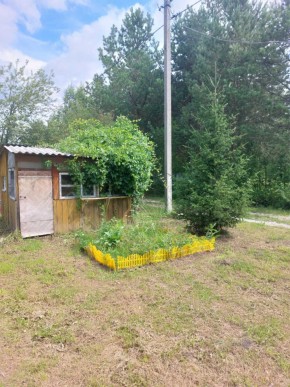 СНТ Родники в Североуральске - severouralsk.yutvil.ru - фото 1 СНТ Родники в Североуральске - severouralsk.yutvil.ru - фото 1