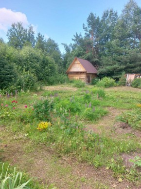 СНТ Родники в Североуральске - severouralsk.yutvil.ru - фото 2 СНТ Родники в Североуральске - severouralsk.yutvil.ru - фото 2