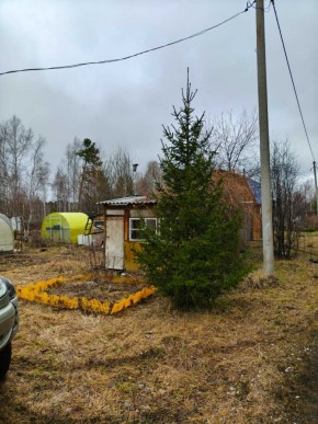 СНТ Родники в Североуральске - severouralsk.yutvil.ru - фото 5