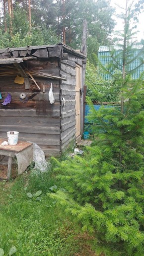 СНТ Садовод-24 в Североуральске - severouralsk.yutvil.ru - фото 13