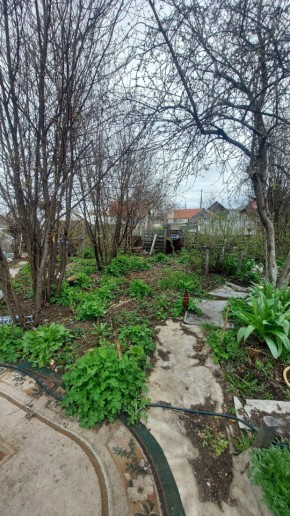 СНТ Сирень, уч. 38 в Североуральске - severouralsk.yutvil.ru - фото 7