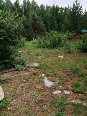 СТН Семья №112, Верхняя пышма на землях бывшего подсобного хозяйтва верхнепышминского опытного завода в Североуральске - severouralsk.yutvil.ru - фото 17 СТН Семья №112, Верхняя пышма на землях бывшего подсобного хозяйтва верхнепышминского опытного завода в Североуральске - severouralsk.yutvil.ru - фото 17