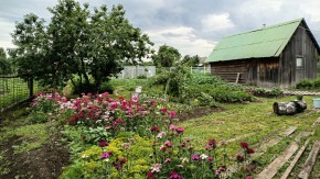 ул. 8-е Марта,46 в Североуральске - severouralsk.yutvil.ru - фото 6 ул. 8-е Марта,46 в Североуральске - severouralsk.yutvil.ru - фото 6
