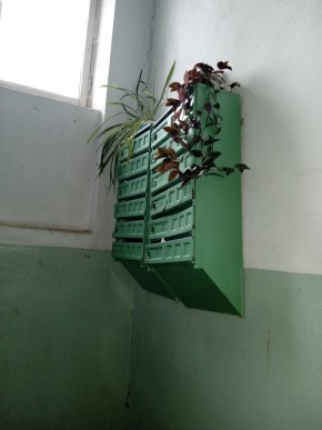 ул. Бажова,11 в Североуральске - severouralsk.yutvil.ru - фото 2 ул. Бажова,11 в Североуральске - severouralsk.yutvil.ru - фото 2