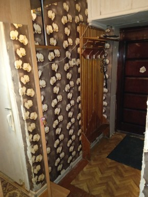 ул. Бажова,11 в Североуральске - severouralsk.yutvil.ru - фото 9