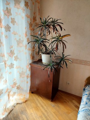 ул. Индустрии,29 в Североуральске - severouralsk.yutvil.ru - фото 4