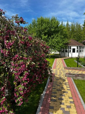 ул. Первомайская,220 в Североуральске - severouralsk.yutvil.ru - фото 2