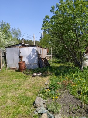 ул. Полынная,29 в Североуральске - severouralsk.yutvil.ru - фото 4 ул. Полынная,29 в Североуральске - severouralsk.yutvil.ru - фото 4