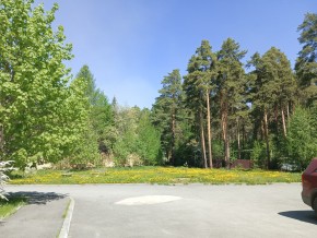 ул. Сосновая, 8 в Североуральске - severouralsk.yutvil.ru - фото 26 ул. Сосновая, 8 в Североуральске - severouralsk.yutvil.ru - фото 26