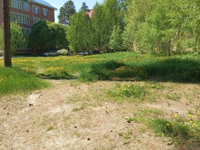 ул. Сосновая, 8 в Североуральске - severouralsk.yutvil.ru - фото 33 ул. Сосновая, 8 в Североуральске - severouralsk.yutvil.ru - фото 33