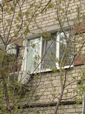 ул. Таганская,8 в Североуральске - severouralsk.yutvil.ru - фото 14