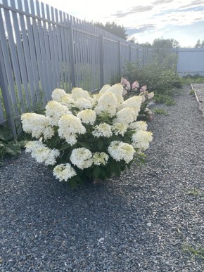 ул. Весенняя,12 в Североуральске - severouralsk.yutvil.ru - фото 20